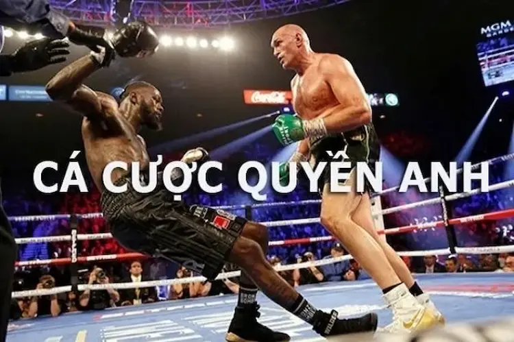 Chiến lược cá cược quyền anh là gì?