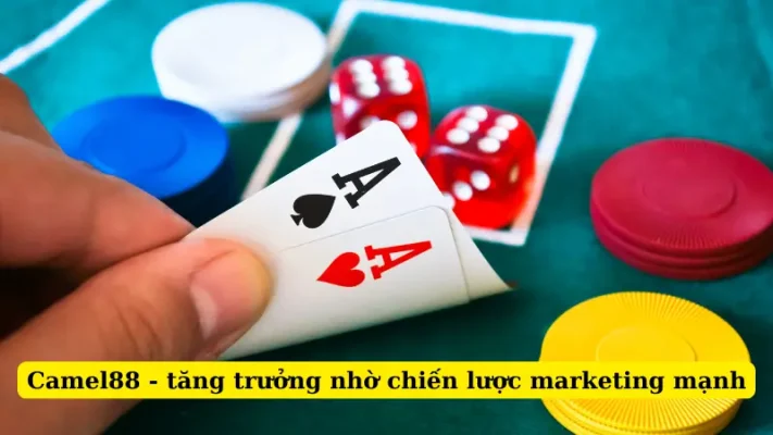 Camel88 - tăng trưởng nhờ chiến lược marketing mạnh
